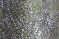 Howden Le Wear fibreglass roof work